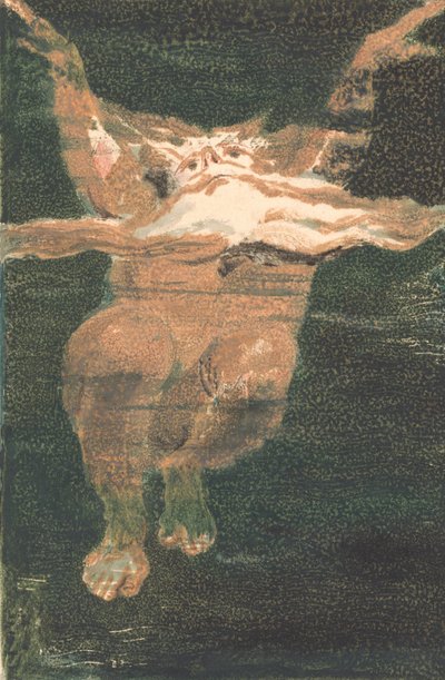 The First Book of Urizen, Plate 5 (Bentley 12) by William Blake
